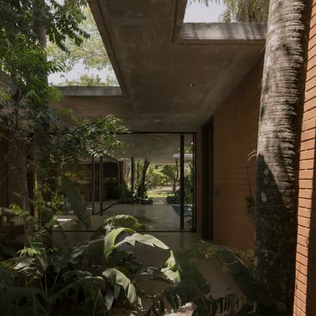 A Forest in the House